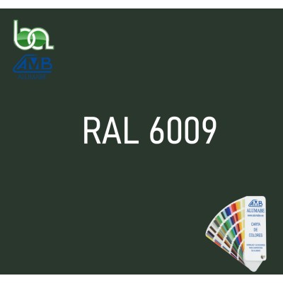 STICK PINCEL RETOQUE EN ALUMINIO VERDE CARRUAJE RAL 6009 BRILLO 12 ML