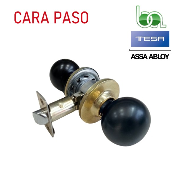 POMO PARA PUERTA DE PASO TESA BOLA 2905 PASO PASO CON ESCUDO LATONADO