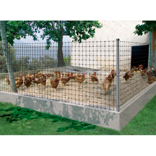 MALLA GALLINERA AVINET 36 NEGRA 1X200M
