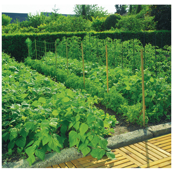 MALLA ENTUTOR TRELLINET 35/2X010 VERDE