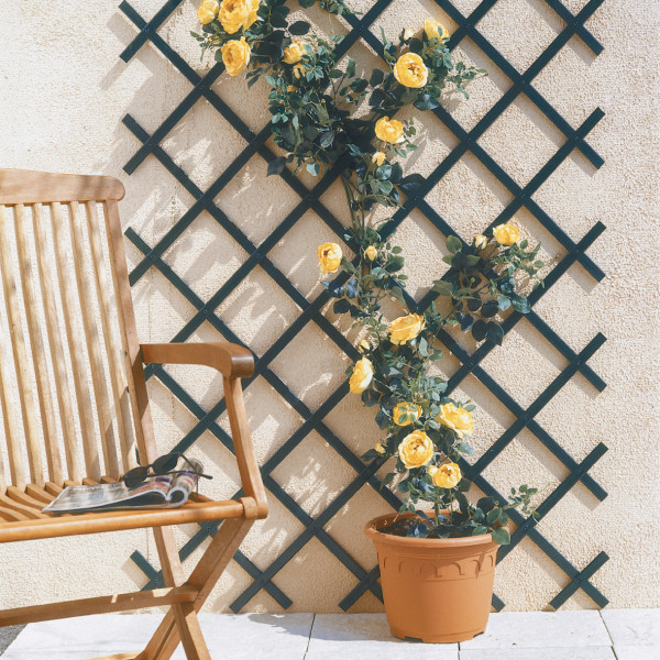 CELOSIA EXT.PVC TRELLIFLEX 1X2M VERDE