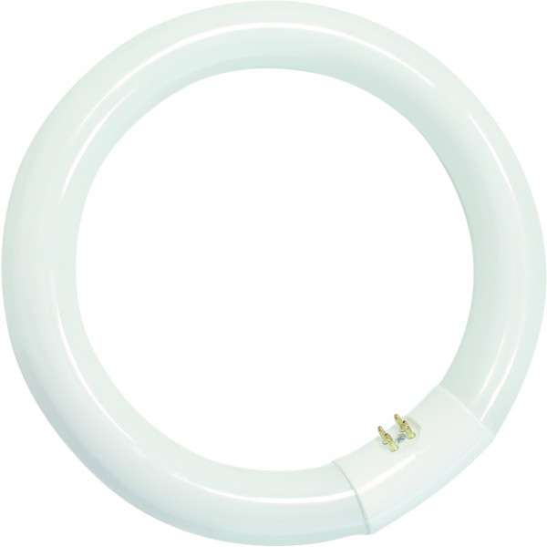 TUBO CIRCULAR T9 G10Q 300MM 32W 6400K