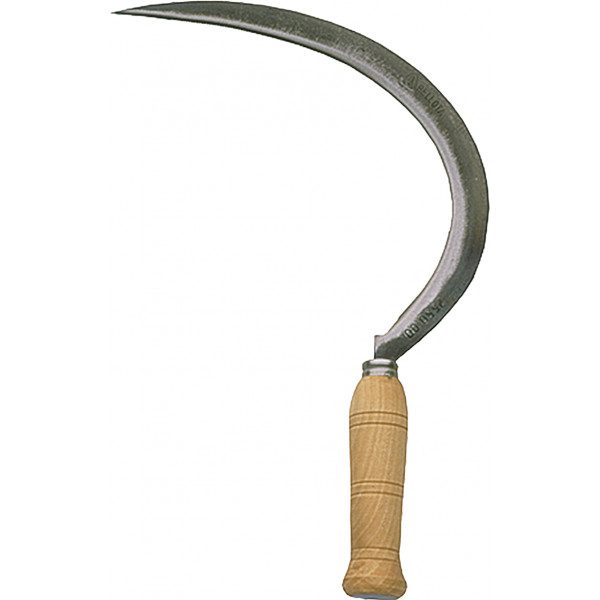 HOZ DENTADA GRANDE 2550-0N